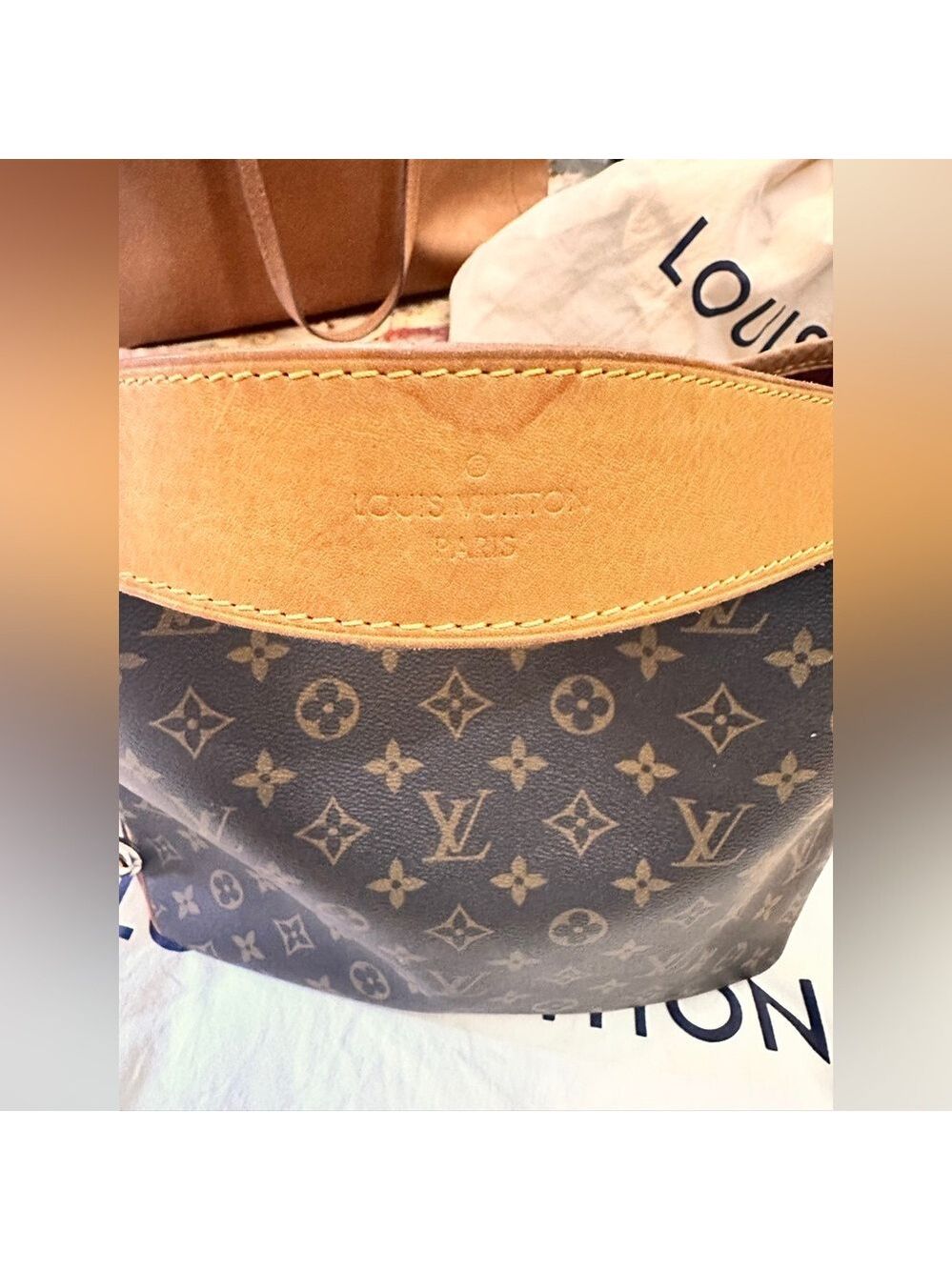 Louis Vuitton Delightful Monogram Shoulder Bag in Pivoine - Picture 7 of 17